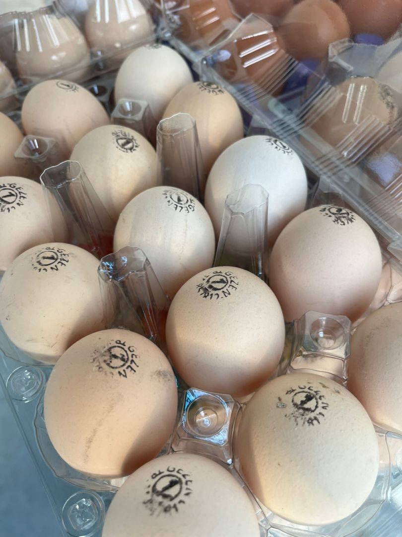 Bitkisel Yemle Beslenmiş Gezen Tavuk Yumurtası (15'li)