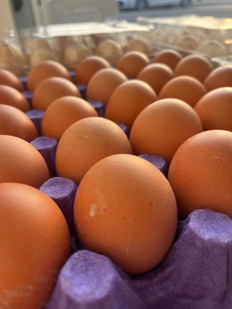 Bitkisel Yemle Beslenmiş Gezen Tavuk Yumurtası (30'lu)